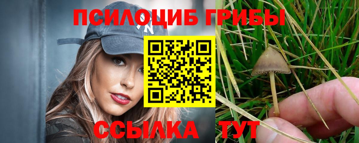 Псилоцибиновые грибы Cubensis  Вход с VPN  Нарткала 