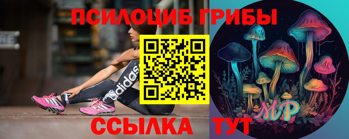 Галлюциногенные грибы Psilocybe Нарткала